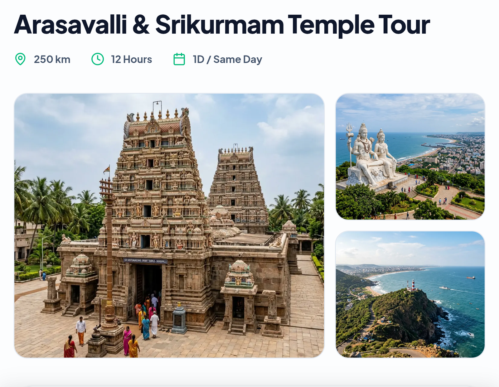 Arasavalli & Srikurmam Temple Tour