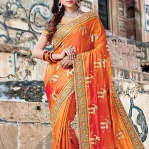 Traditional Sari outfit